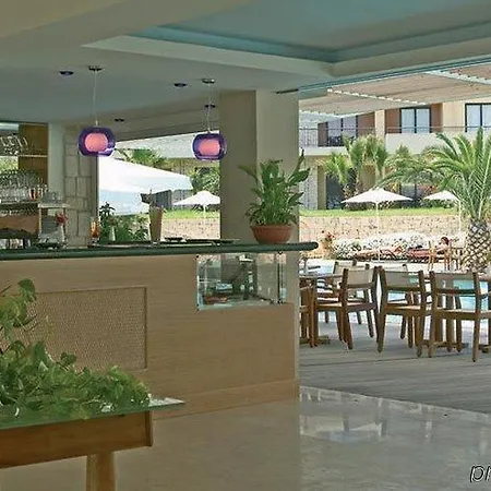 Renaissance 하니오티